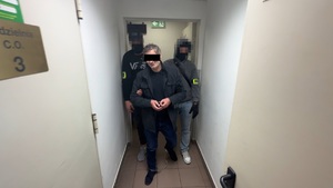 7 obywateli Gruzji tymczasowo aresztowanych za posiadanie broni palnej i amunicji