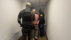 7 obywateli Gruzji tymczasowo aresztowanych za posiadanie broni palnej i amunicji