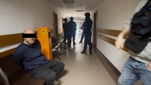 7 obywateli Gruzji tymczasowo aresztowanych za posiadanie broni palnej i amunicji