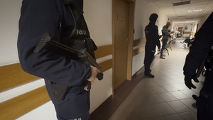 7 obywateli Gruzji tymczasowo aresztowanych za posiadanie broni palnej i amunicji