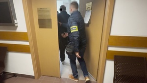 7 obywateli Gruzji tymczasowo aresztowanych za posiadanie broni palnej i amunicji