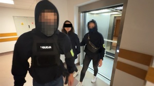 7 obywateli Gruzji tymczasowo aresztowanych za posiadanie broni palnej i amunicji
