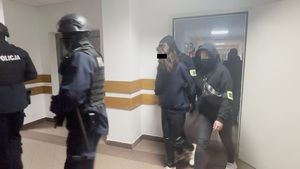 7 obywateli Gruzji tymczasowo aresztowanych za posiadanie broni palnej i amunicji
