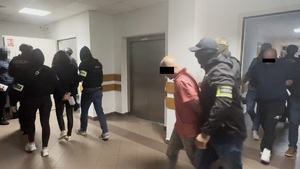 7 obywateli Gruzji tymczasowo aresztowanych za posiadanie broni palnej i amunicji
