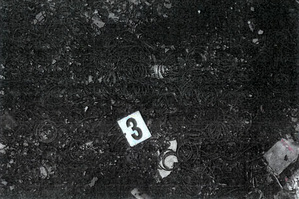 Zarzuty za zabójstwo 31-latki ze szczególnym okrucieństwem