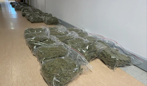 „Duch sternik” zatrzymany przez śródmiejskich kryminalnych