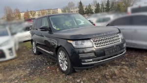 „Duch sternik” zatrzymany przez śródmiejskich kryminalnych