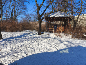 Śródmiejscy policjanci niosą pomoc potrzebującym, w związku z zimowymi mrozami
