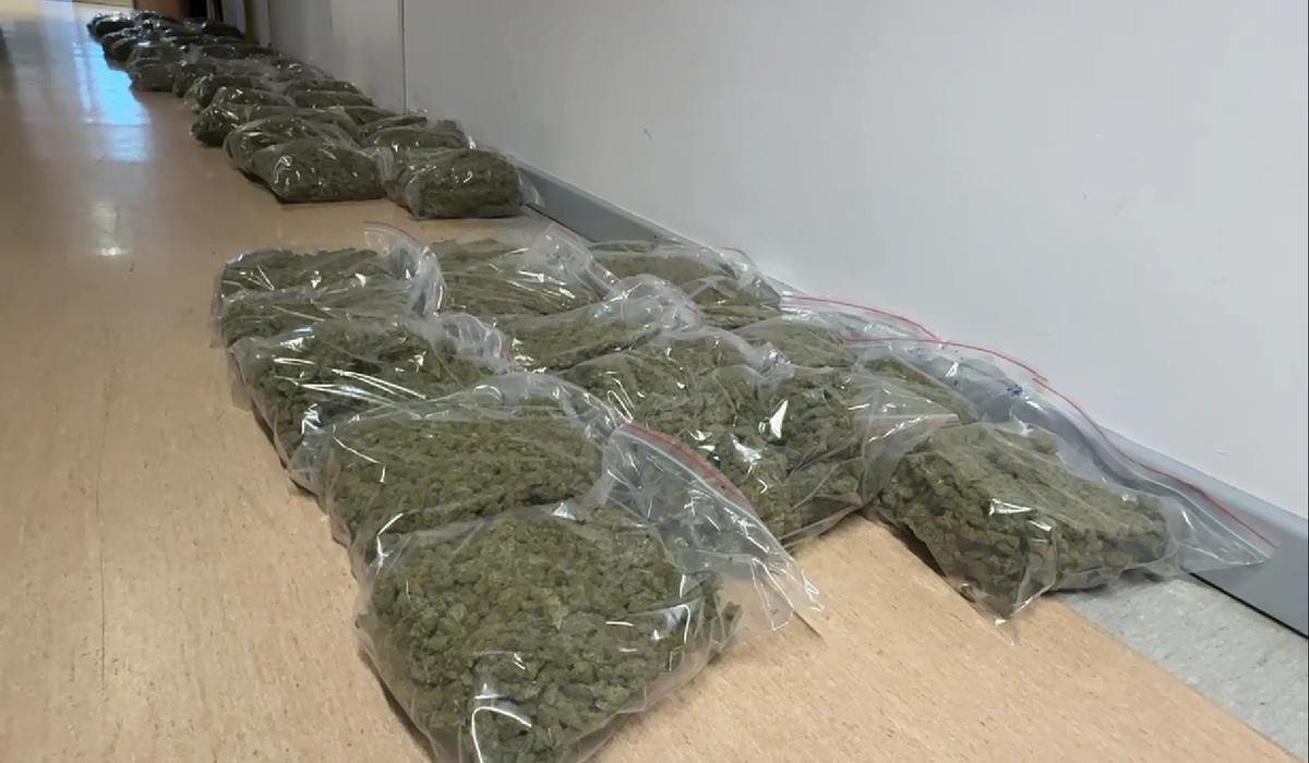 „Duch sternik” zatrzymany przez śródmiejskich kryminalnych